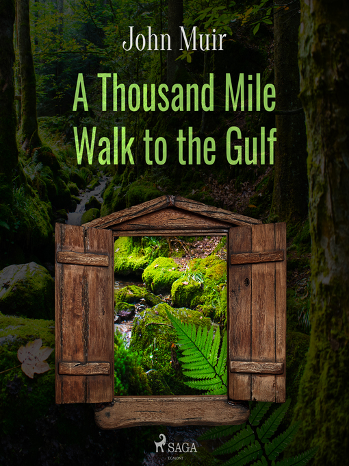 Cover image for A Thousand Mile Walk to the Gulf